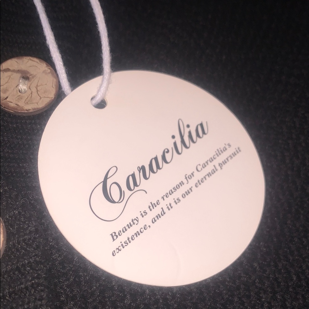 Caracilia Black Women's Sweater Dress - Elegant Knit